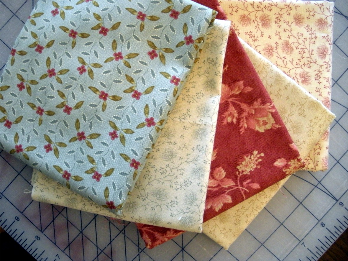 blackbird wild rose 11-18-10