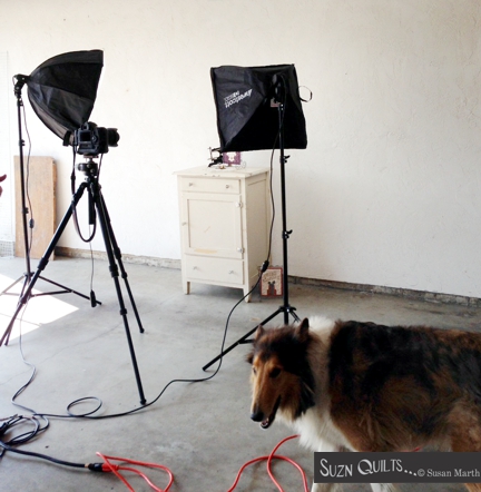 Suzn+Quilts+Photo+shoot