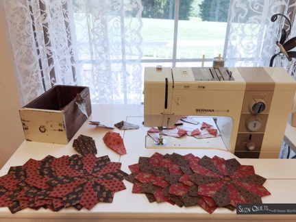 suznquiltssewinggratitudecauseplates