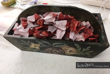 suznquiltsnewdesigns1-25-173